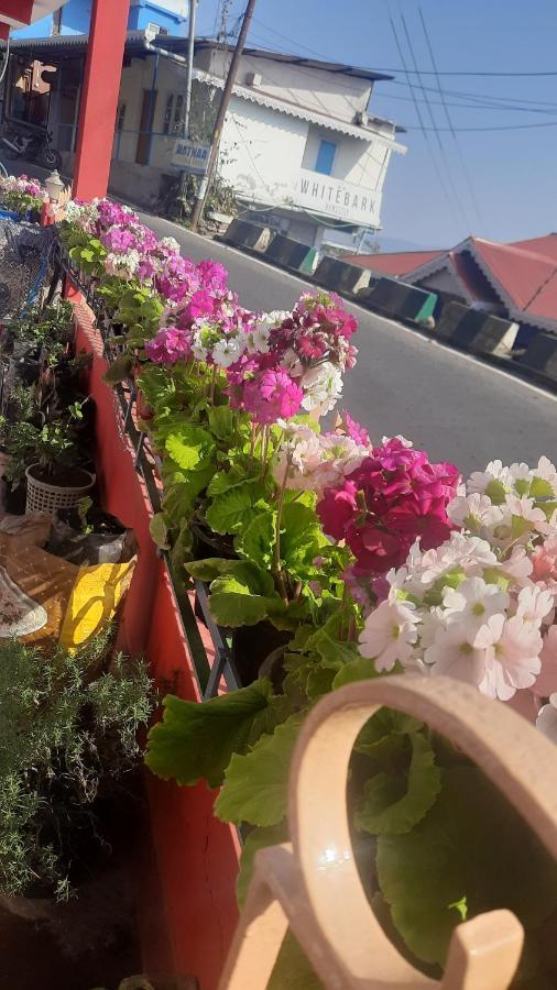 Kalimpong View Homestay Ngoại thất bức ảnh